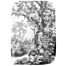 wall mural jungle black and white from ESTAhome