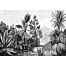 wall mural tropical landscape black and white from ESTAhome