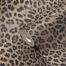 wallpaper leopard skin brown, beige and yellow from Livingwalls