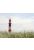 wall mural lighthouse red, white and green from ESTAhome