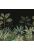 wall mural jungle black and grayish green from ESTAhome