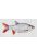 wall sticker Fish gray and red from ESTAhome