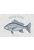 wall sticker Fish blue from ESTAhome
