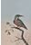 wall mural kingfisher on branch evening red from ESTAhome