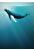 wall mural Artsy Humpback Whale blue from Komar