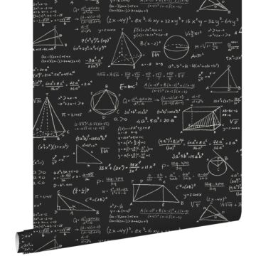 wallpaper math formulas matt black from ESTAhome