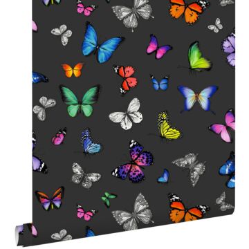wallpaper butterflies multicolor on black from ESTAhome