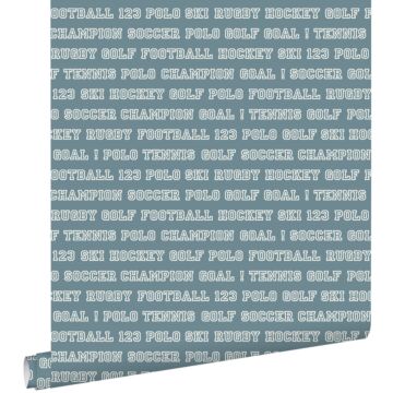 wallpaper sports texts vintage blue from ESTAhome