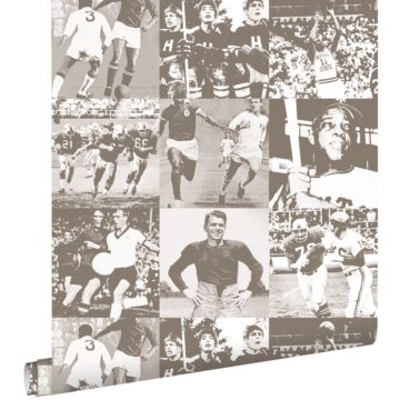 wallpaper sports heroes sepia brown from ESTAhome