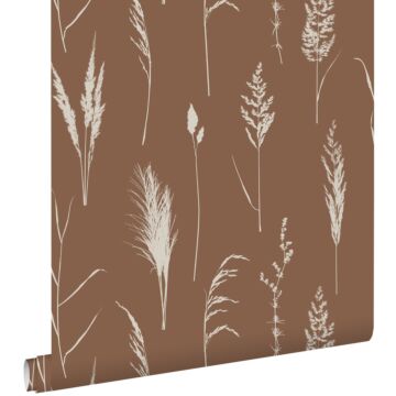 wallpaper pampas grass rust brown from ESTAhome