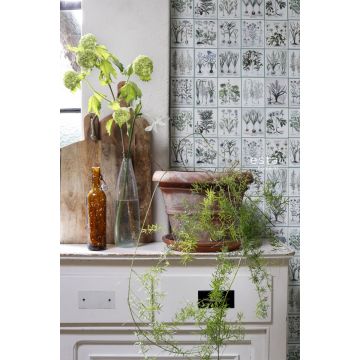 kitchen non-woven wallpaper XXL pages of a botanical book light warm gray and green 158826