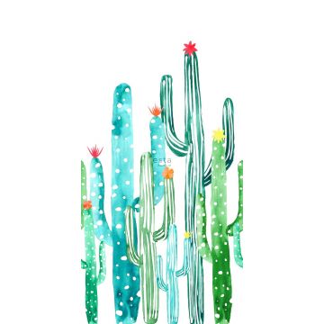 wall mural aquarel painted flowering cactus tropical jungle green and turquoise from ESTAhome