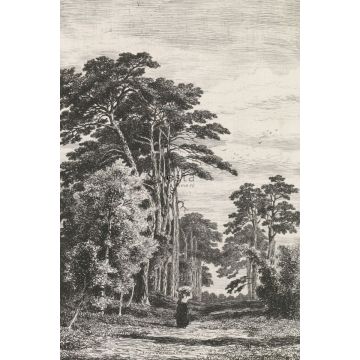 wall mural wooded landscape black and white from ESTAhome