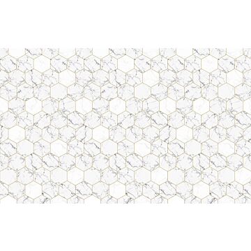 wall mural marble black and white and gold from ESTAhome