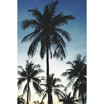 wall mural palm trees blue, black and beige from ESTAhome