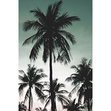 wall mural palm trees petrol green from ESTAhome
