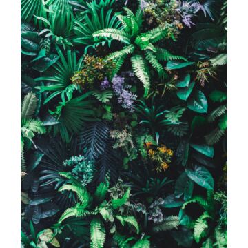 wall mural tropical plants green from ESTAhome