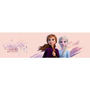 self-adhesive wallpaper border Frozen light peach pink and purple from Disney