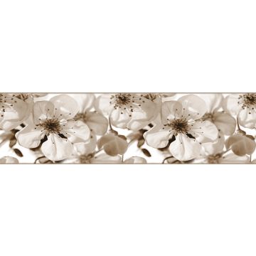 self-adhesive wallpaper border flowers light beige from Sanders & Sanders