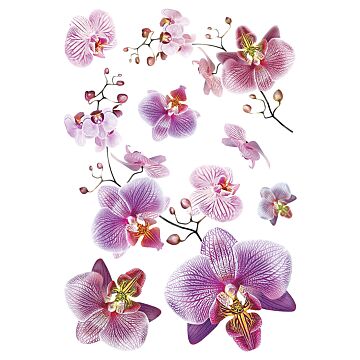 wall sticker flowers pink and lilac purple from Sanders & Sanders