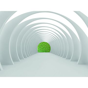wall mural 3D print white and green from Sanders & Sanders