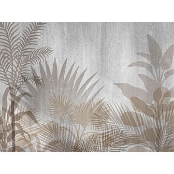 wall mural tropical plants beige and gray from Sanders & Sanders