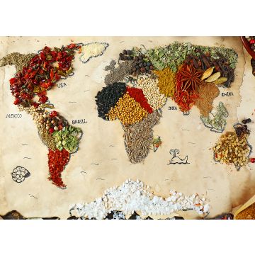 wall mural world map beige, red and green from Sanders & Sanders