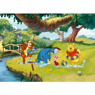 poster Winnie the Pooh green, yellow and blue from Disney
