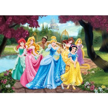 poster princesses pink, yellow and blue from Disney