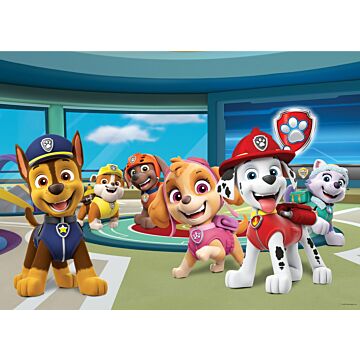 poster PAW patrol blue, green and red from Sanders & Sanders