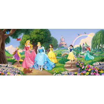 poster princesses green, blue and pink from Disney