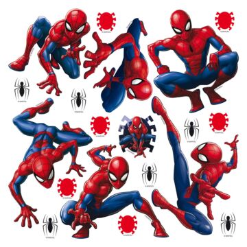 wall sticker Spider-Man blue and red from Sanders & Sanders