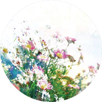 self-adhesive round wall mural flowers green, pink and white from Sanders & Sanders