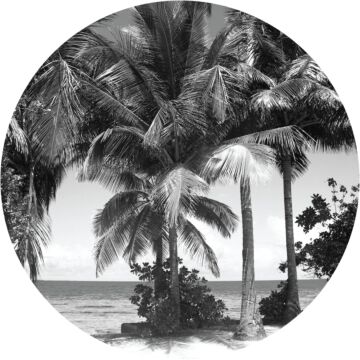 self-adhesive round wall mural tropical landscape with palm trees black and white from Sanders & Sanders