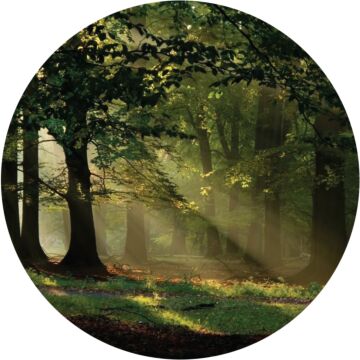 self-adhesive round wall mural wooded landscape green from Sanders & Sanders