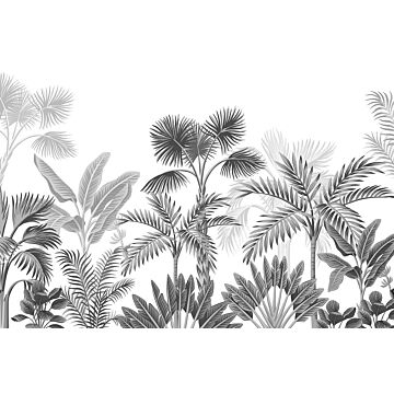 wall mural tropical landscape with palm trees black and white from Sanders & Sanders