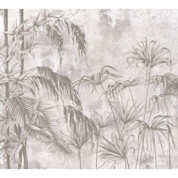 wall mural tropical plants gray from Sanders & Sanders