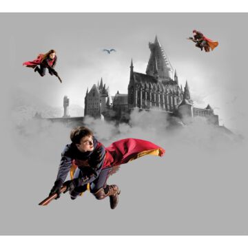 wall mural Harry Potter Hogwarts gray and red from Sanders & Sanders