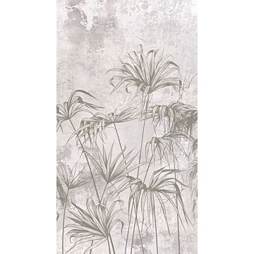 wall mural tropical plants gray from Sanders & Sanders