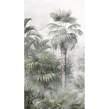 wall mural tropical landscape with palm trees dark green and gray from Sanders & Sanders