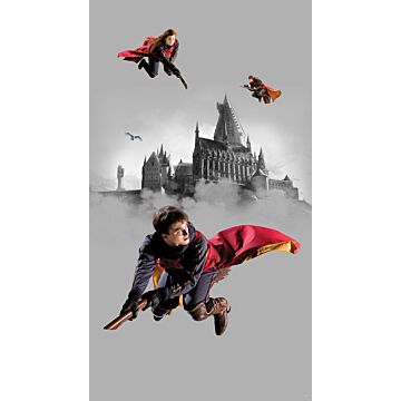 wall mural Harry Potter Hogwarts gray and red from Sanders & Sanders