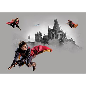 poster Harry Potter Hogwarts gray and red from Sanders & Sanders