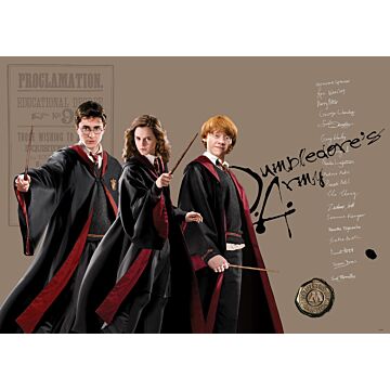 poster Harry Potter, Hermione Granger, Ron Weasley beige, black and red from Sanders & Sanders