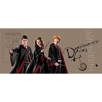 poster Harry Potter, Hermione Granger, Ron Weasley beige, black and red from Sanders & Sanders
