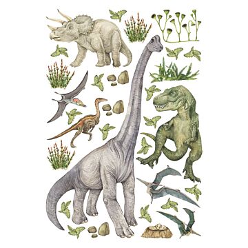 wall sticker dinosaurs green from Sanders & Sanders