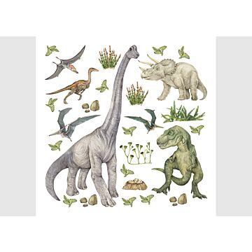 wall sticker dinosaurs green from Sanders & Sanders