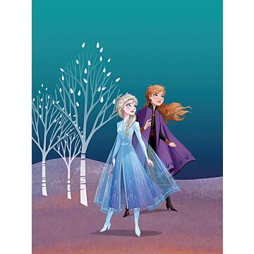 poster Frozen Anna & Elsa blue and purple from Komar