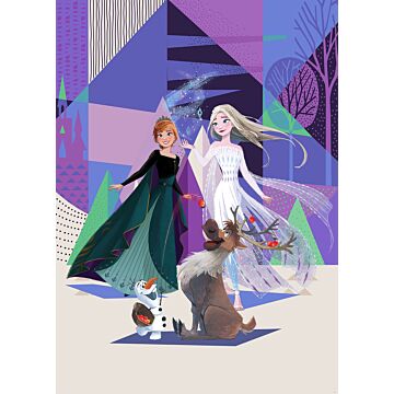 wall mural Frozen Anna & Elsa multicolor from Komar