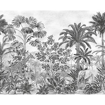wall mural Jungle Evolution black and white from Komar