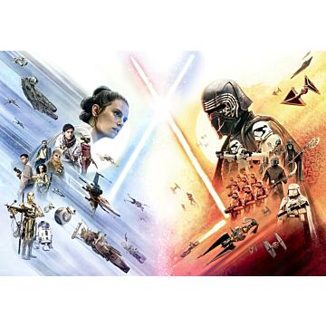 wall mural STAR WARS EP9 Movie Poster Wide multicolor from Komar